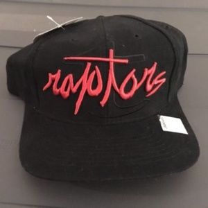 vintage raptors hat